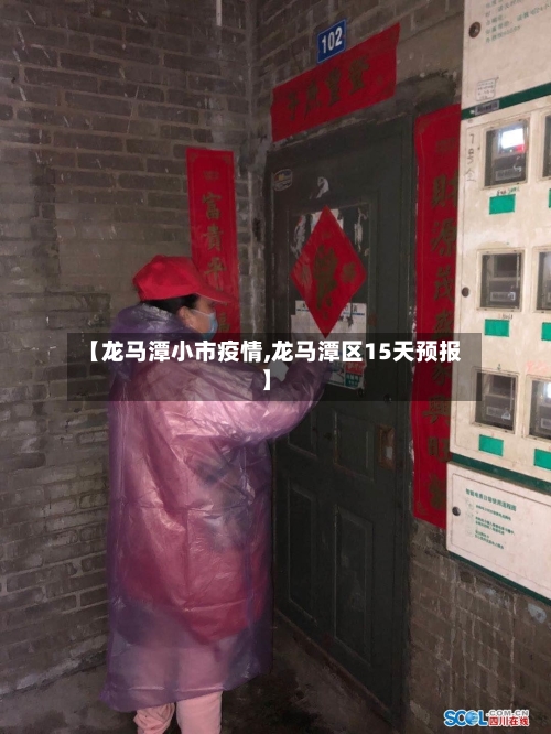 【龙马潭小市疫情,龙马潭区15天预报】-第2张图片