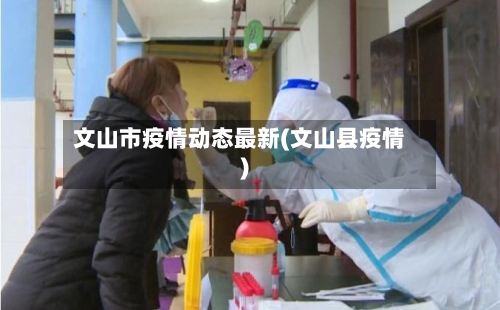文山市疫情动态最新(文山县疫情)-第1张图片