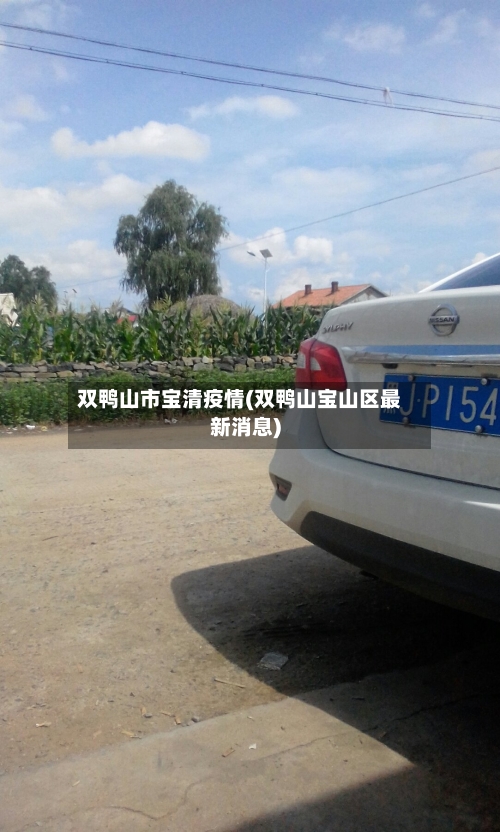 双鸭山市宝清疫情(双鸭山宝山区最新消息)-第1张图片