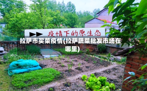 拉萨市买菜疫情(拉萨蔬菜批发市场在哪里)-第2张图片