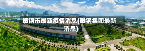 攀钢市最新疫情消息(攀钢集团最新消息)-第1张图片