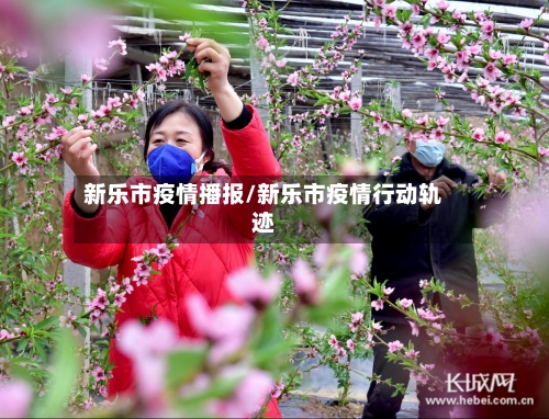 新乐市疫情播报/新乐市疫情行动轨迹-第1张图片