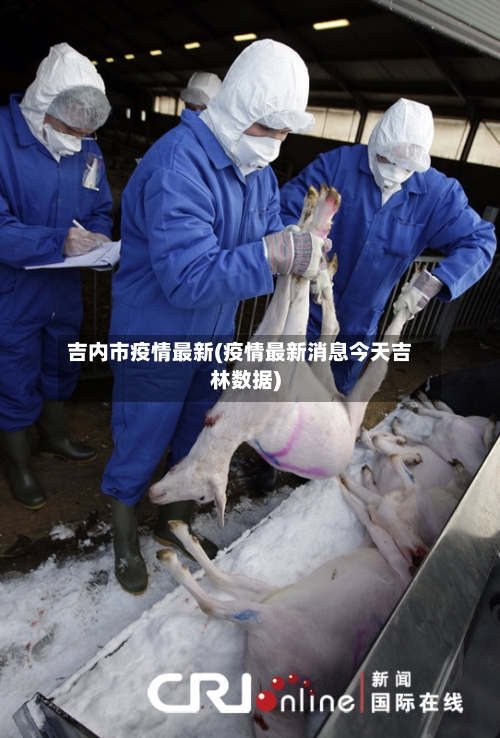 吉内市疫情最新(疫情最新消息今天吉林数据)-第1张图片