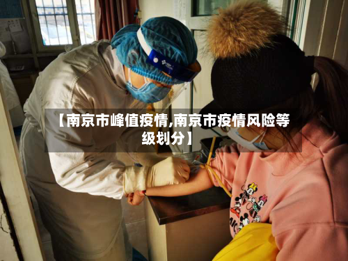 【南京市峰值疫情,南京市疫情风险等级划分】-第2张图片