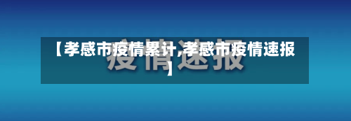 【孝感市疫情累计,孝感市疫情速报】-第1张图片