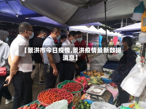 【景洪市今日疫情,景洪疫情最新数据消息】-第2张图片