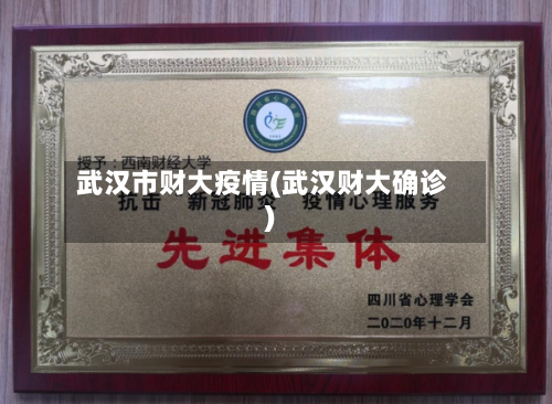 武汉市财大疫情(武汉财大确诊)-第3张图片