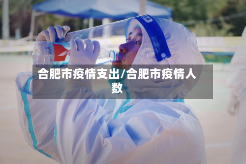 合肥市疫情支出/合肥市疫情人数-第1张图片