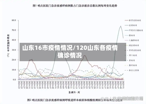 山东16市疫情情况/120山东各疫情确诊情况-第1张图片