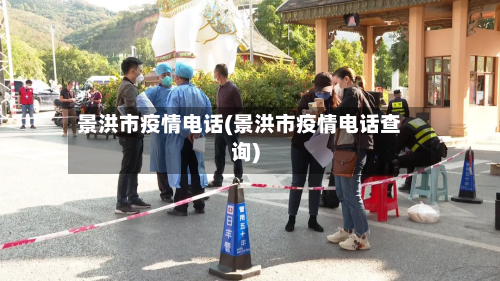 景洪市疫情电话(景洪市疫情电话查询)-第3张图片