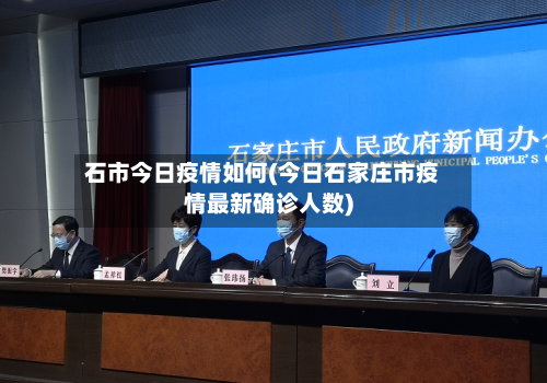 石市今日疫情如何(今日石家庄市疫情最新确诊人数)-第2张图片