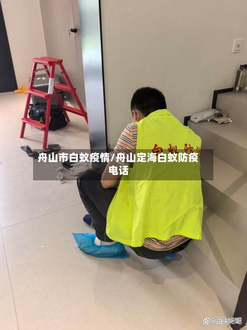 舟山市白蚁疫情/舟山定海白蚁防疫电话-第1张图片