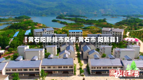【黄石阳新排市疫情,黄石市 阳新县】-第2张图片