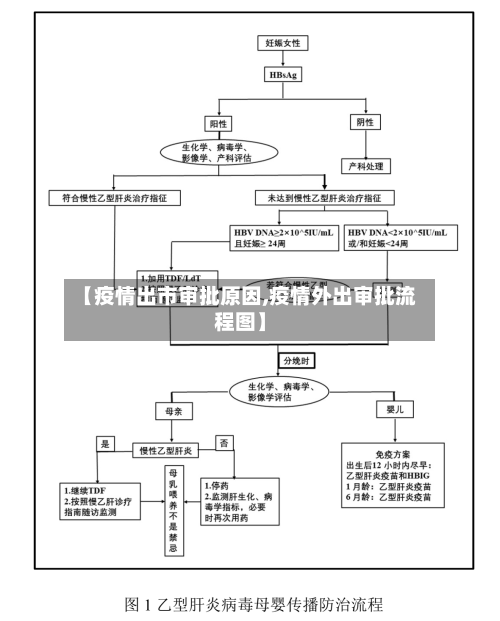 【疫情出市审批原因,疫情外出审批流程图】-第2张图片