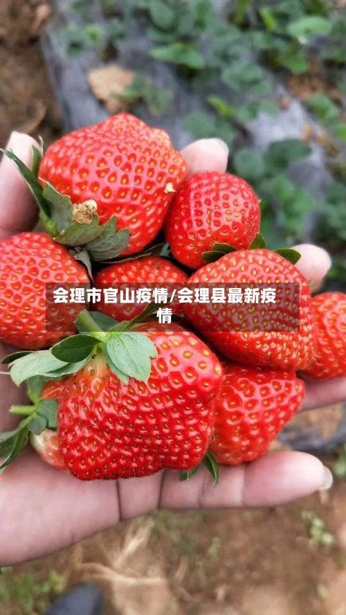 会理市官山疫情/会理县最新疫情-第2张图片