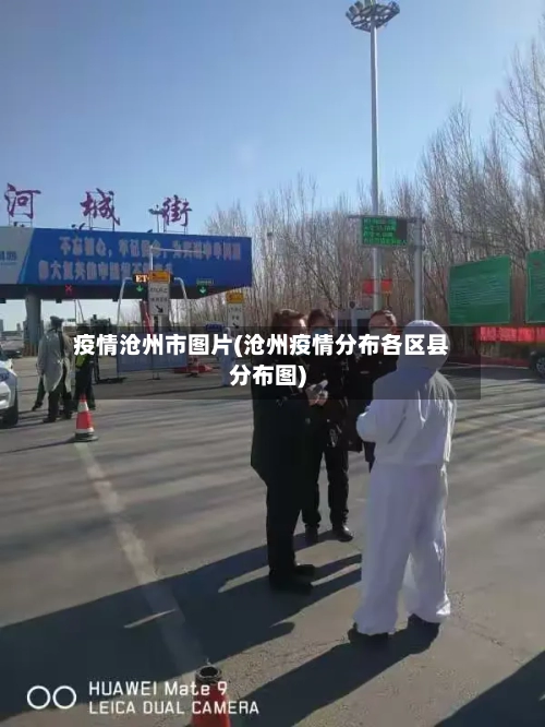 疫情沧州市图片(沧州疫情分布各区县分布图)-第3张图片
