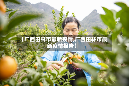 【广西田林市最新疫情,广西田林市最新疫情报告】-第2张图片