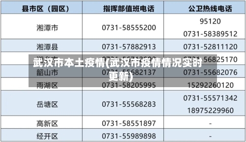 武汉市本土疫情(武汉市疫情情况实时更新)-第2张图片
